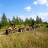 dsc04484.jpg
