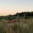 obozy-quadowe-img_6757-obozy-quadowe-gokartowe-paintballowe.jpg
