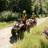 obozy-quadowe-wandrus-img_20200811_113720-quady-paintball.jpg