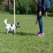 DSC00198.JPG