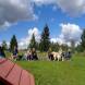DSC00352.JPG