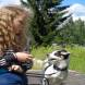 DSC00355.JPG