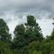 dsc08822.jpg