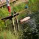 dsc07956.jpg