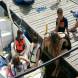 dsc07808.jpg