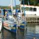 dsc03499.jpg