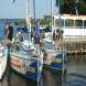 dsc03501.jpg