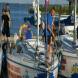 dsc03503.jpg