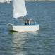 dsc03253.jpg