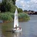 dsc03530.jpg
