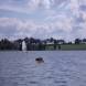 dscn1452.jpg