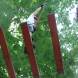 dsc09555.jpg