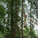 dsc00972.jpg