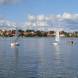 dsc01542.jpg