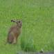 dsc00743.jpg