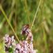 dsc04662.jpg