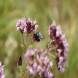 dsc04664.jpg