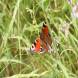 dsc04666.jpg