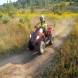 dsc04984.jpg