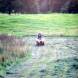 dsc05369.jpg