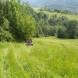 20200629_160661_wandrus_oboz_quadowy_bieszczady.jpg