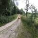 obozy-quadowe-img_7086.jpg