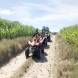 obozy-quadowe-wandrus-img_20200811_113951-quady-paintball.jpg