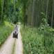 oboz-quadowy-oboz-paintballowy-wandrus-20210718_220350.jpg