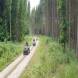 oboz-quadowy-oboz-paintballowy-wandrus-20210718_220381.jpg