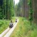 oboz-quadowy-oboz-paintballowy-wandrus-20210718_220395.jpg