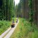 oboz-quadowy-oboz-paintballowy-wandrus-20210718_220397.jpg