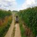 oboz-quadowy-oboz-paintballowy-wandrus-20210718_220474.jpg