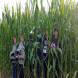 oboz-quadowy-oboz-paintballowy-wandrus-20210718_220482.jpg