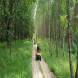 oboz-quadowy-oboz-paintballowy-wandrus-20210718_220528.jpg
