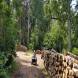 oboz-quadowy-oboz-paintballowy-wandrus-20210718_220539.jpg