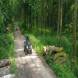 oboz-quadowy-oboz-paintballowy-wandrus-20210718_220554.jpg