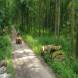 oboz-quadowy-oboz-paintballowy-wandrus-20210718_220560.jpg