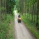 oboz-quadowy-oboz-paintballowy-wandrus-20210718_220587.jpg