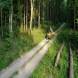oboz-quadowy-oboz-paintballowy-wandrus-20210718_220594.jpg