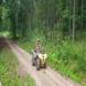 oboz-quadowy-oboz-paintballowy-wandrus-20210718_220662.jpg