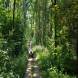 obozy-quadowe-paintballowe-gokartowe-wandrus-travel-20210729_010300.jpg