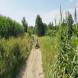 obozy-quadowe-paintballowe-gokartowe-wandrus-travel-20210729_010302.jpg