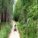 obozy-quadowe-paintballowe-gokartowe-wandrus-travel-20210729_010343.jpg