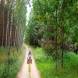 obozy-quadowe-paintballowe-gokartowe-wandrus-travel-20210729_010344.jpg