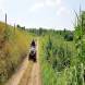 obozy-quadowe-paintballowe-gokartowe-wandrus-travel-20210729_010364.jpg