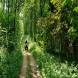 obozy-quadowe-paintballowe-gokartowe-wandrus-travel-20210729_010365.jpg