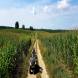 obozy-quadowe-paintballowe-gokartowe-wandrus-travel-20210729_010371.jpg