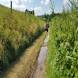 obozy-quadowe-paintballowe-gokartowe-wandrus-travel-20210729_010403.jpg