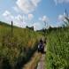 obozy-quadowe-paintballowe-gokartowe-wandrus-travel-20210729_010408.jpg