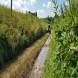 obozy-quadowe-paintballowe-gokartowe-wandrus-travel-20210729_010413.jpg